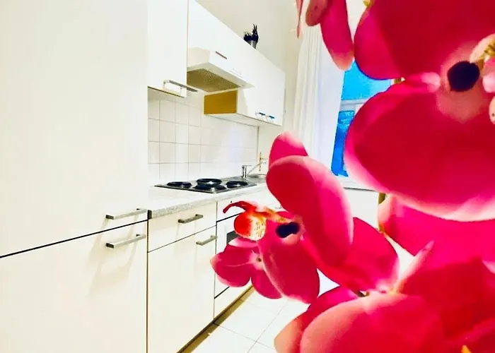 Comfortable 2br 10 Min Transport To Stadthalle * Βιέννη